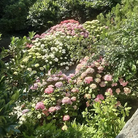 Magda - Double Bed N3