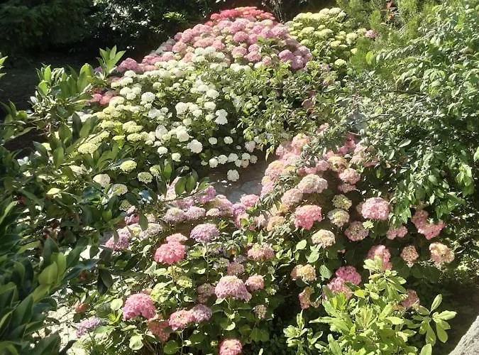 Magda - Double Bed N3